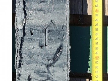 MN245_GC1 (1)