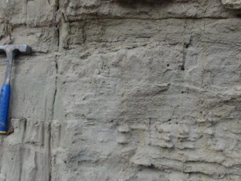 Radaseni 2