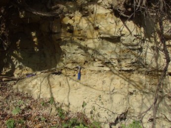 Radaseni 3