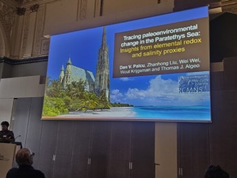 Dan Palcu RCMNS Conference Vienna, May 2025