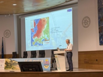 Gabriel Ion, 38<sup>th</sup> International Meeting of Sedimentology, Huelva, Spain, 26th - 28th June 2025
