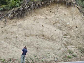 Miocen inferior, Valea Olanesti