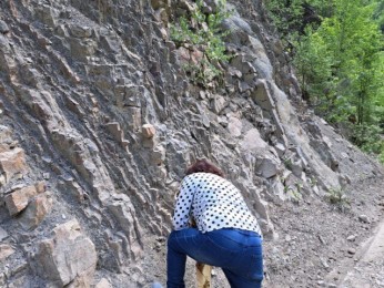 Sampling from the Eocene-Oligocene boundary, Trotus Valley basin