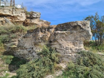Sarmatian fosilifer, Cap Kaliakra, Bulgaria
